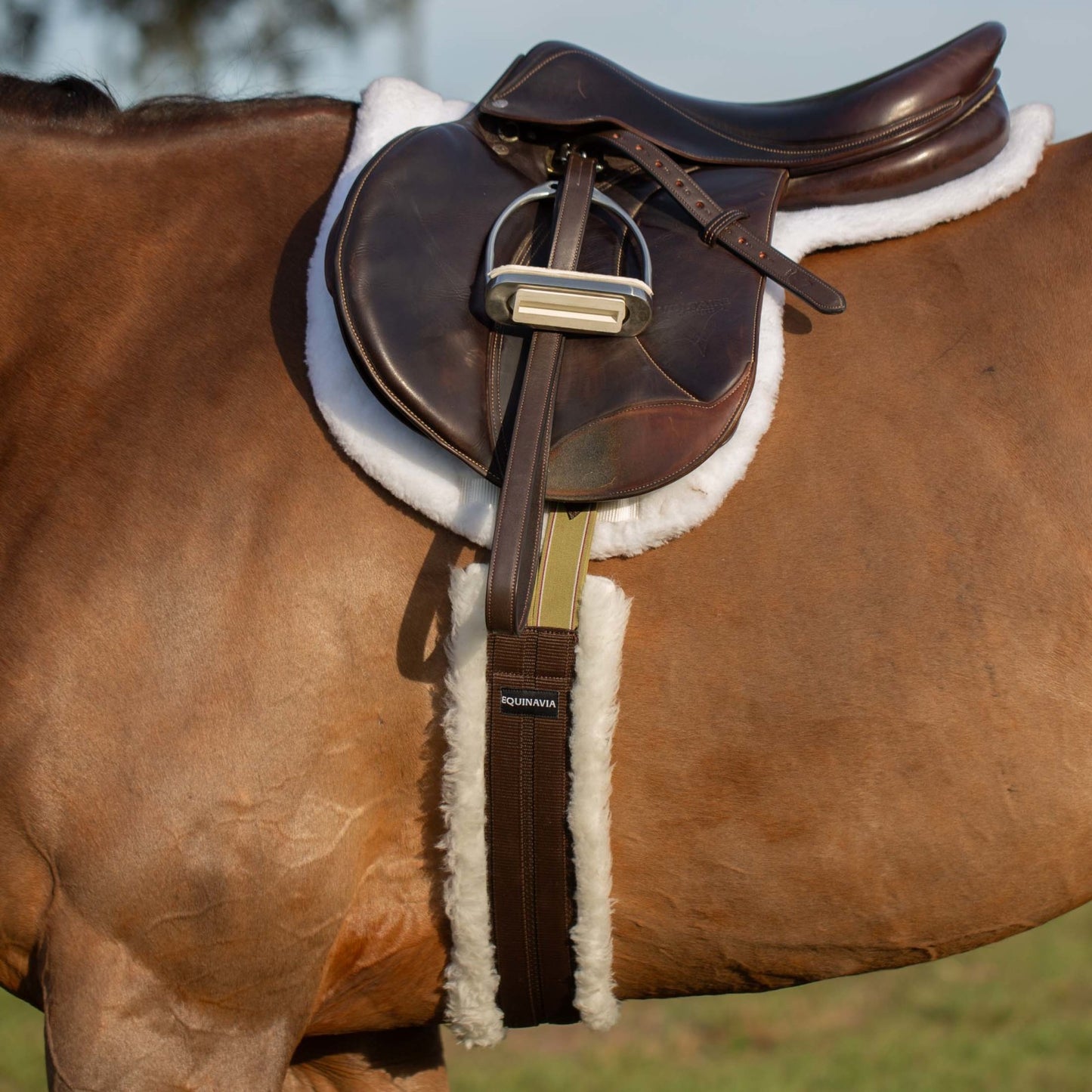 Equinavia Saga Non Stretch Stirrup Leathers - Chocolate Brown
