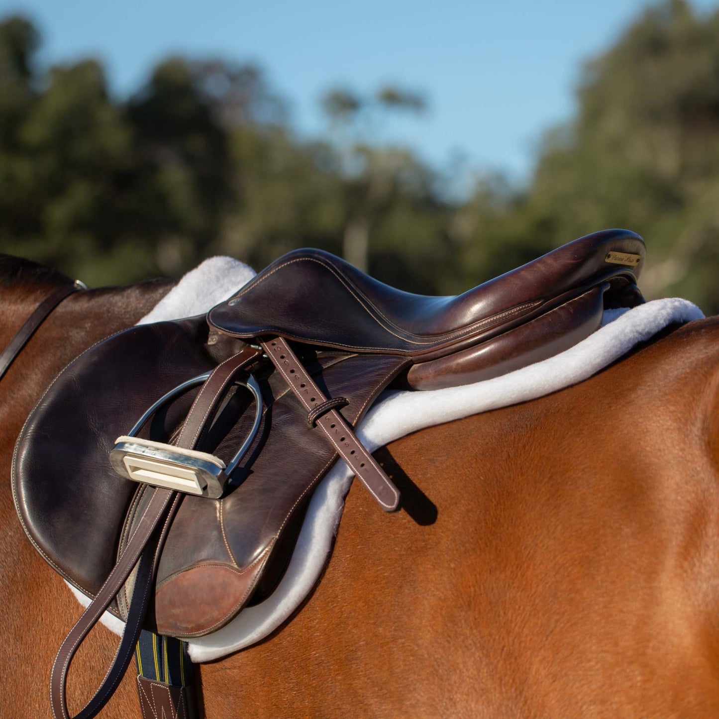 Equinavia Valkyrie Covered Stirrup Leathers
