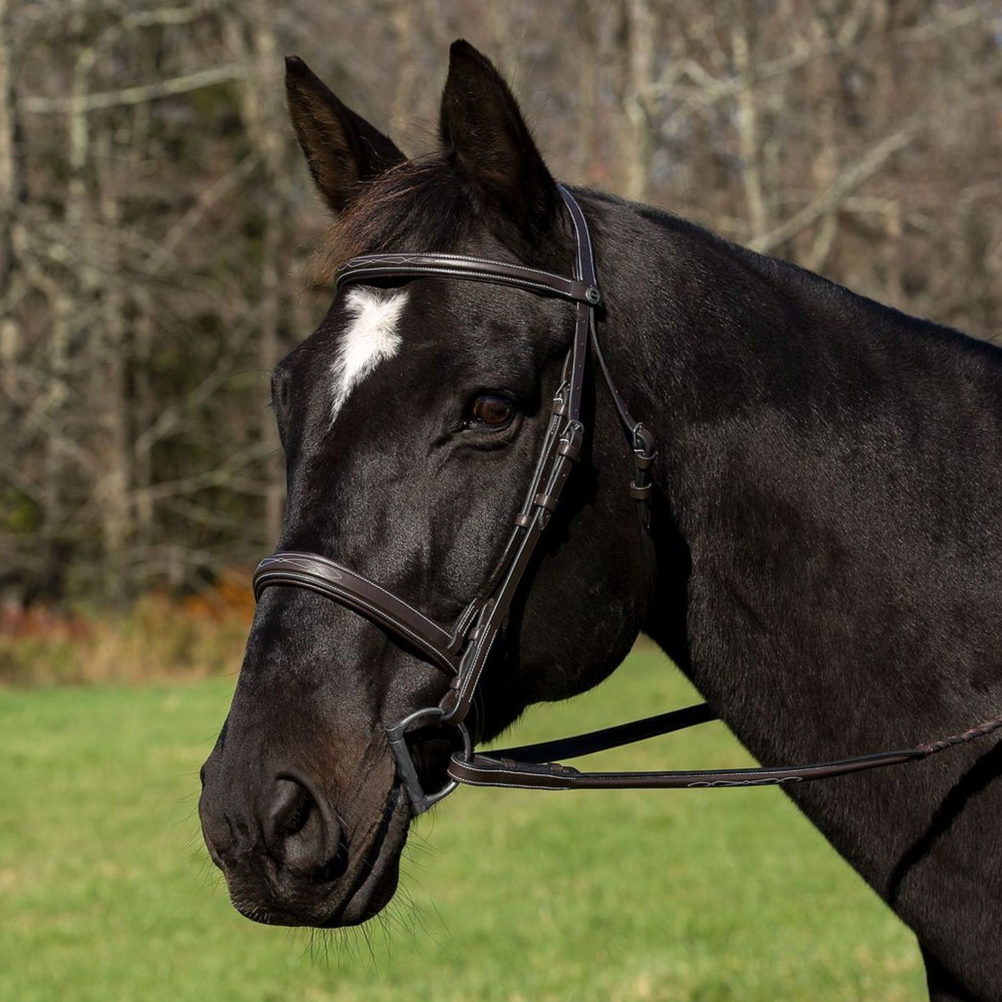 Henri De Rivel Pro Mono Crown Bridle with Padded Wide Noseband & Laced Reins