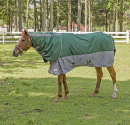 TuffRider Bonum 1200D Medium Weight Detachable Neck Turnout Blanket w/ 200GSM of Fill