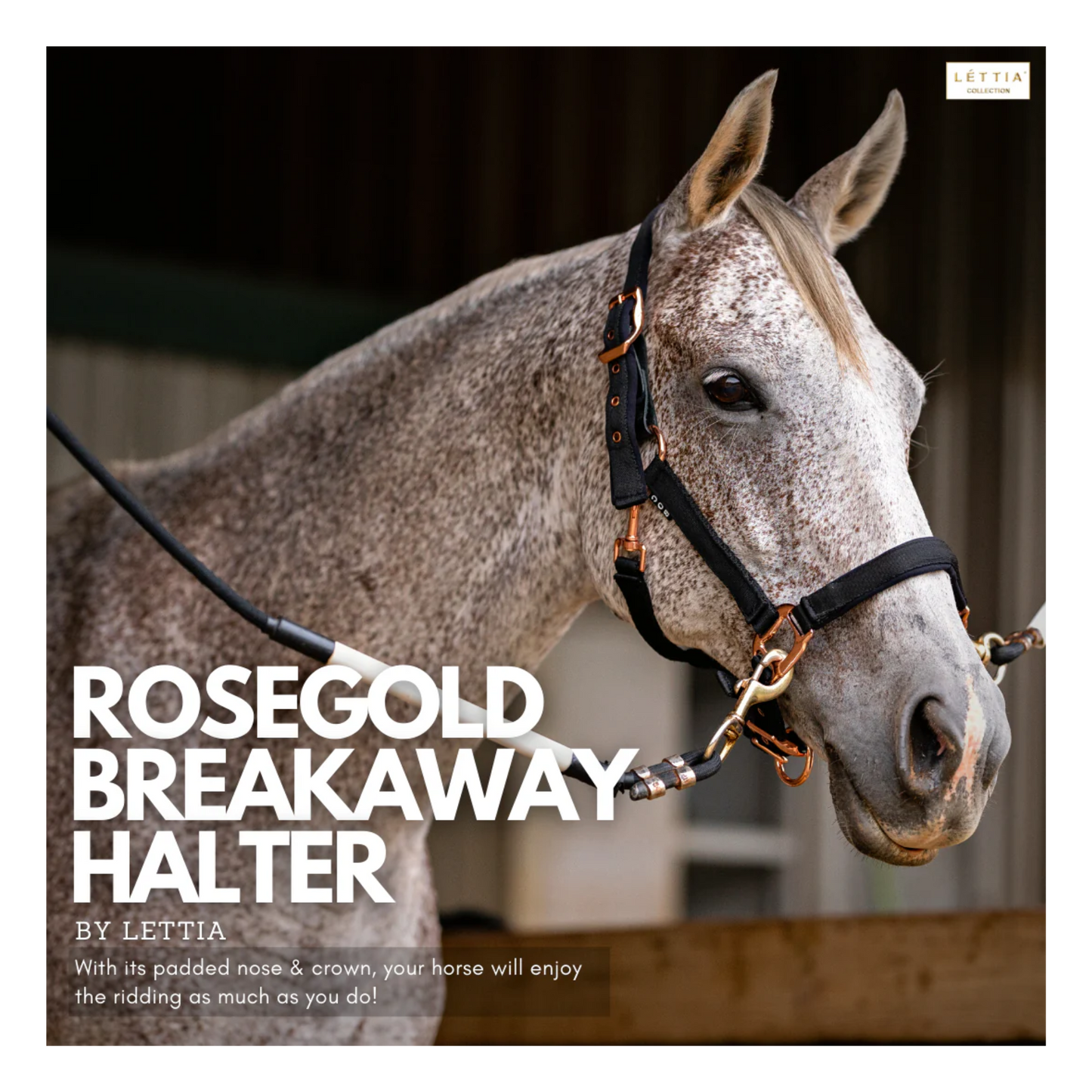 Lettia Padded Leather Breakaway Halter with Rose Gold Hardware