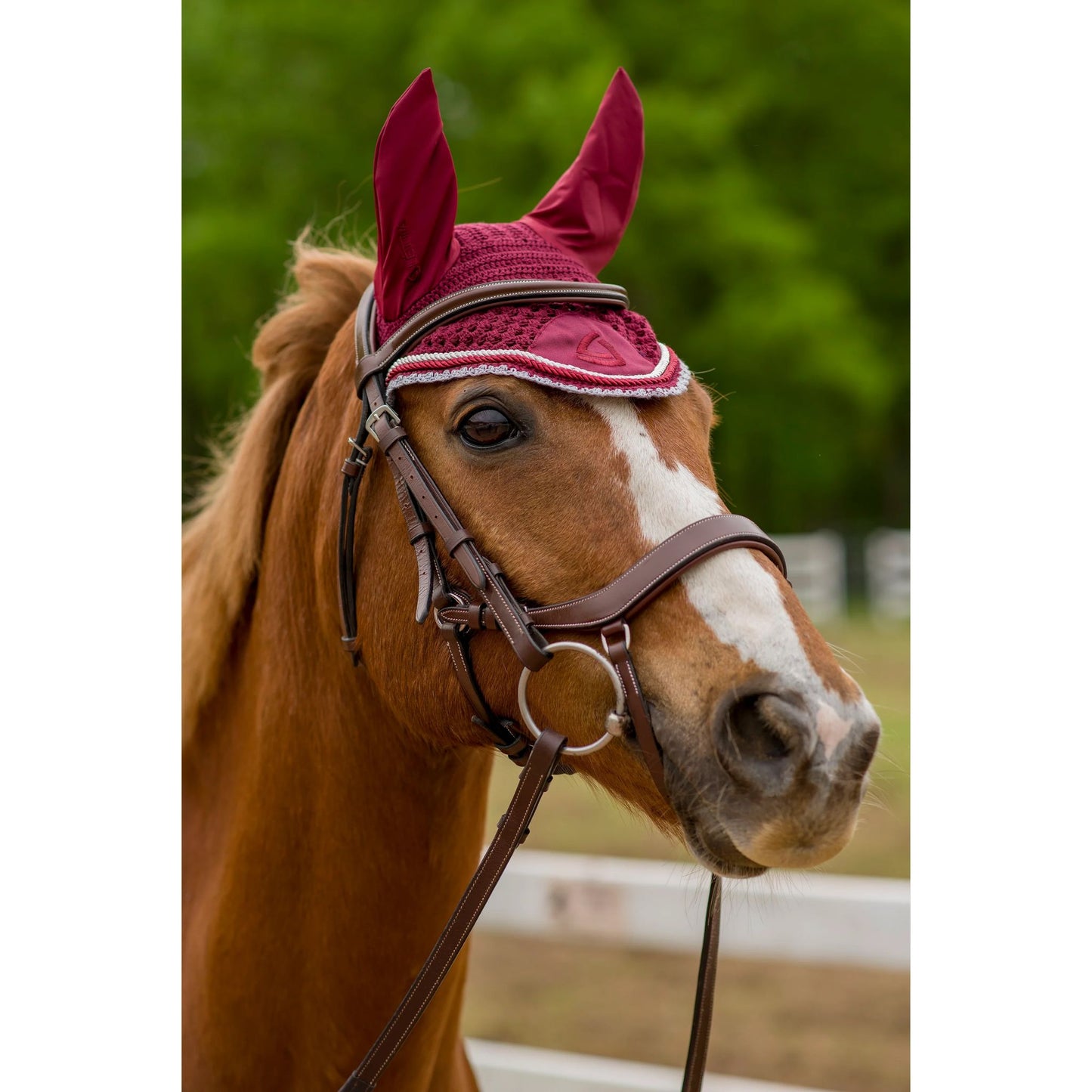 Lettia Shadow Ear Net Fly Bonnet
