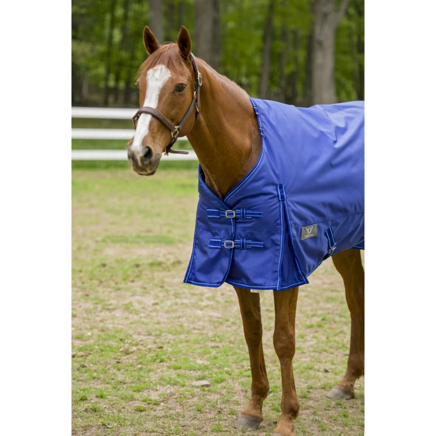 TuffRider 1680 D Winter Turnout Blanket Heavy Weight 350 Grams, Detachable Neck