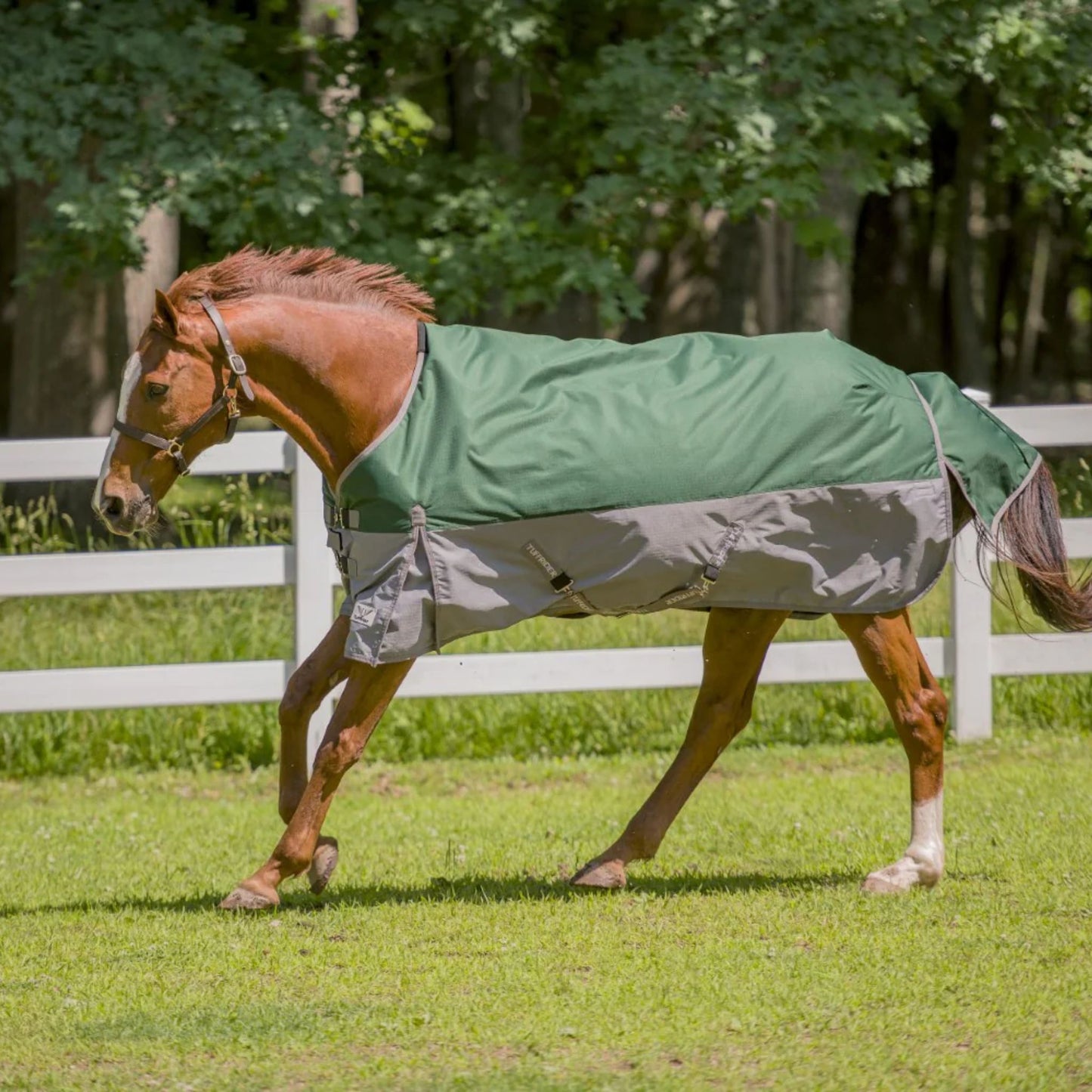 TuffRider Bonum 1200D Medium Weight Standard Neck Turnout Blanket, 200 Grams of Fill