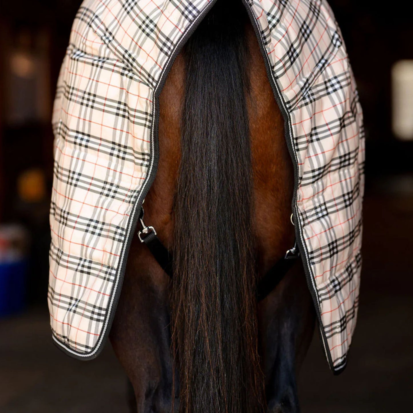 TuffRider Comfy Standard Neck Medium Weight Stable Blanket