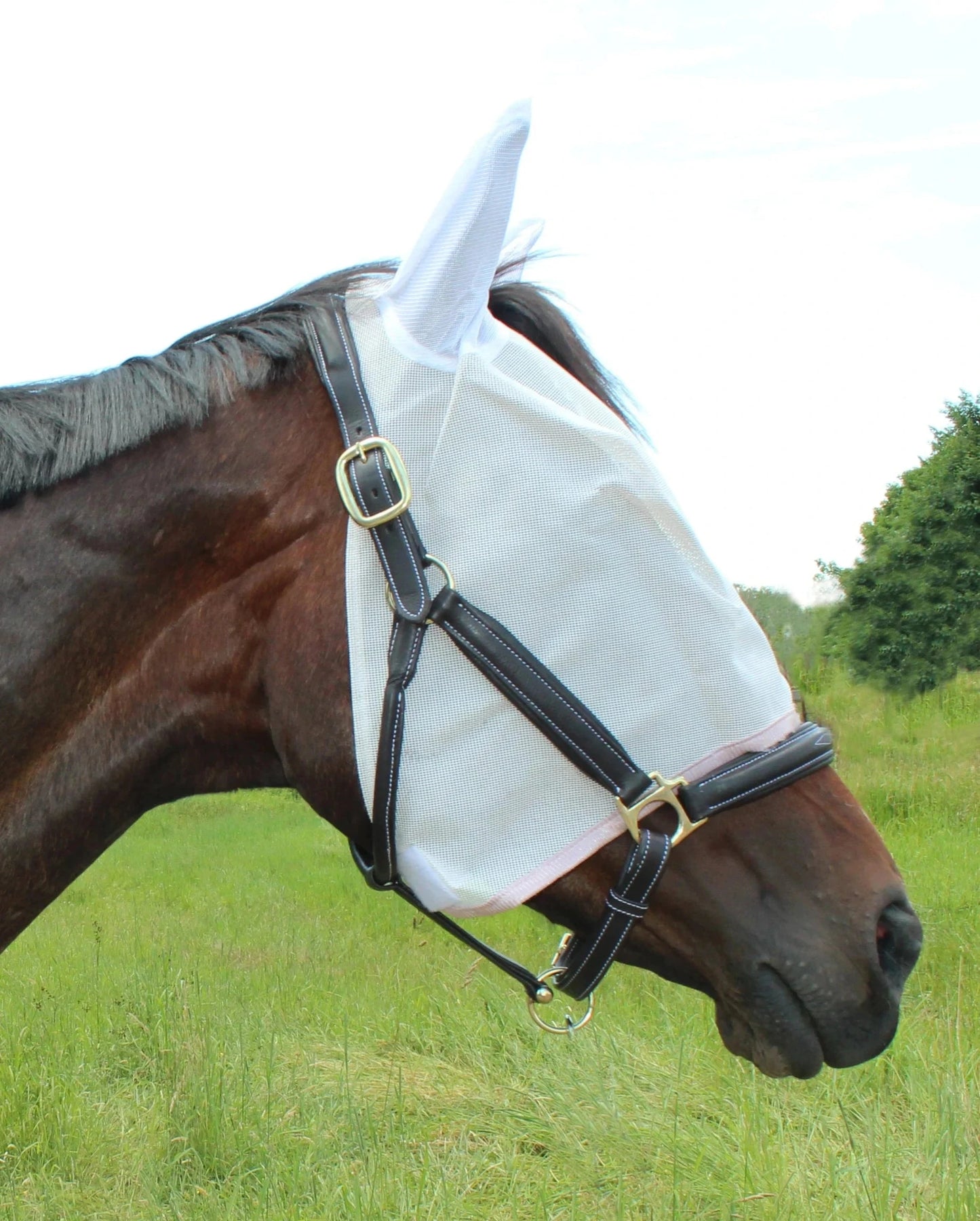 TuffRider Fly Mask With Ears