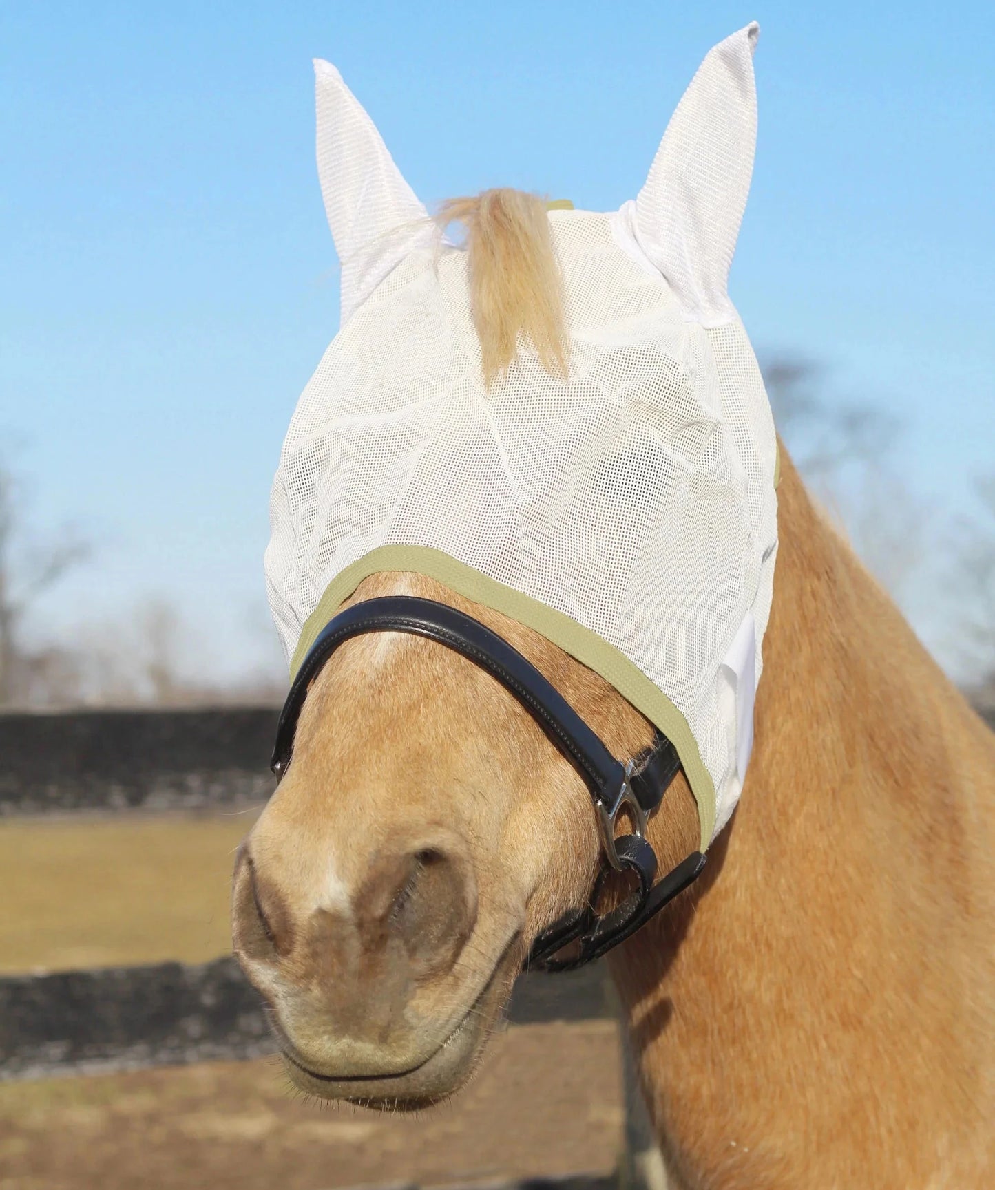 TuffRider Fly Mask With Ears