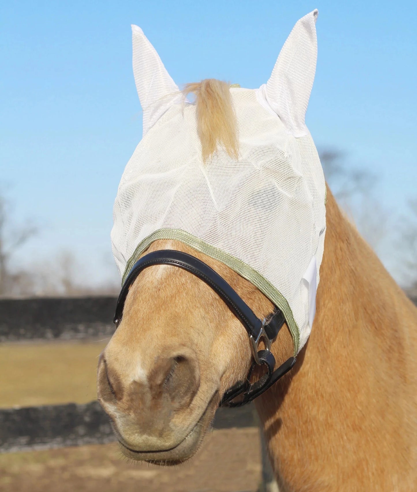 TuffRider Fly Mask With Ears