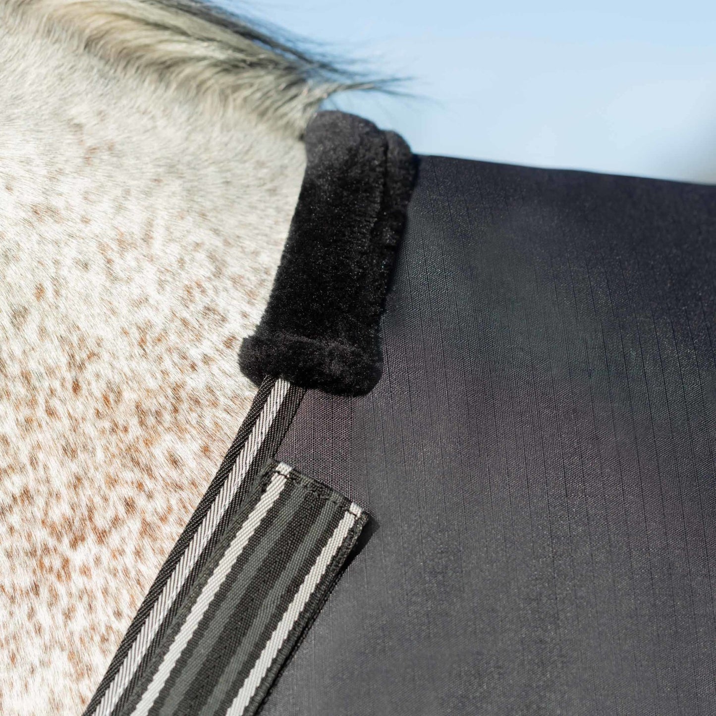 Equinavia Norse Turnout Blanket 100g, Black