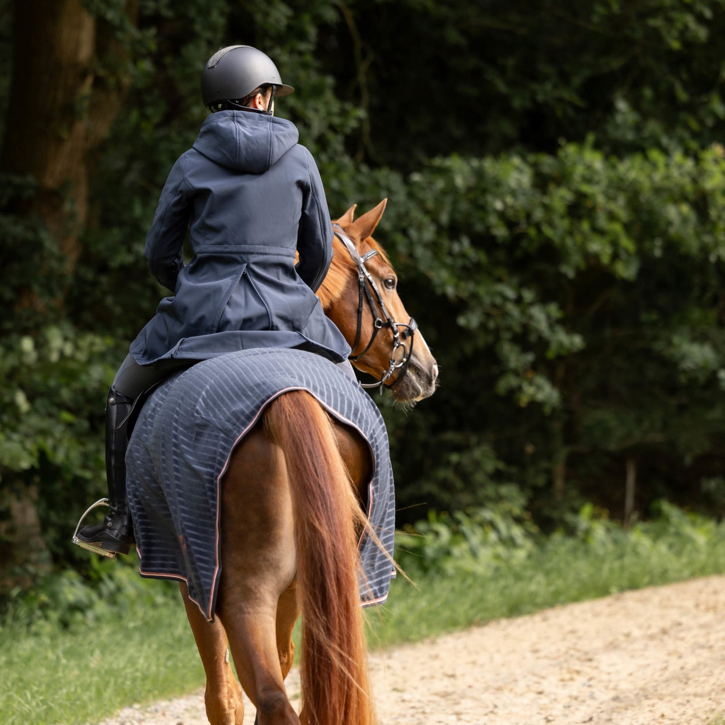 Horze Anna Womens Softshell Riding Jacket, Ink Navy
