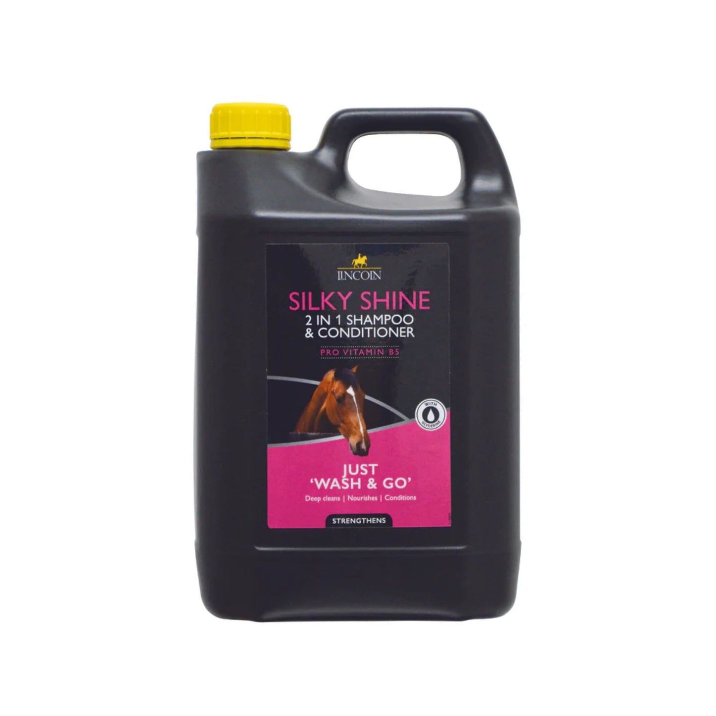 Lincoln Silky Shine 2-in-1 Shampoo & Conditioner