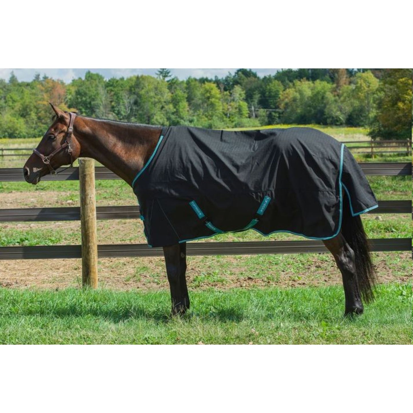TuffRider Bonum 1200D Ripstop Coolmax Lightweight 3 Season Turnout Sheet