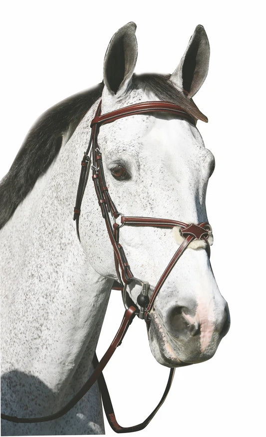 Henri de Rivel Pro Mono Crown Raised Figure Eight Bridle With Rubber Reins