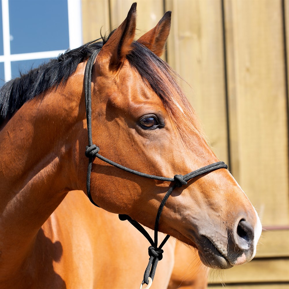 Equinavia Rope Halter