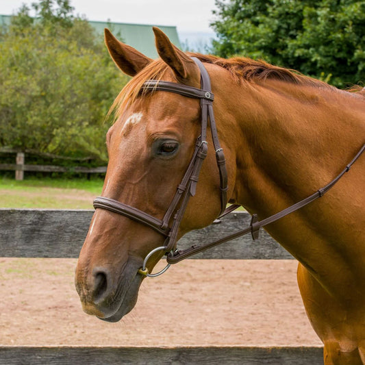 Henri De Rivel Kushy Raised Fancy Stitched Bridle