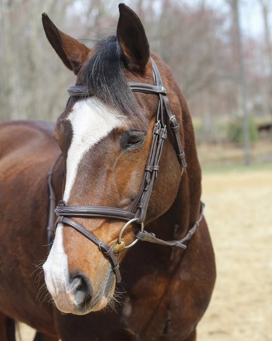 Henri de Rivel Kushy Bridle With Detachable Flash