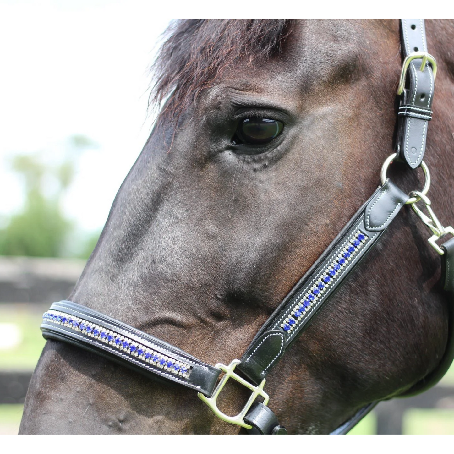 Henri De Rivel Padded Jewel Horse Halter