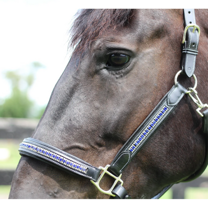 Henri De Rivel Padded Jewel Horse Halter