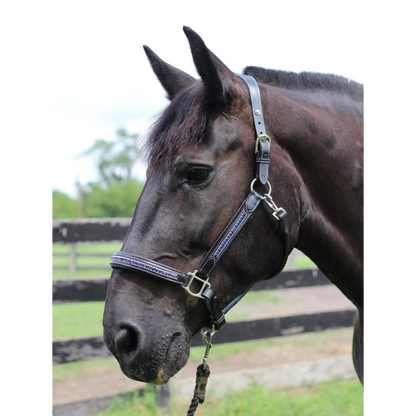 Henri De Rivel Padded Jewel Horse Halter