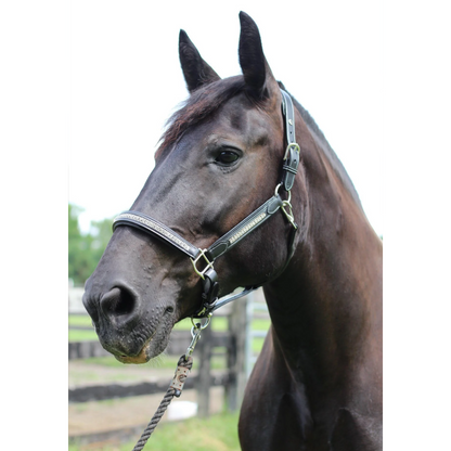 Henri De Rivel Padded Jewel Horse Halter