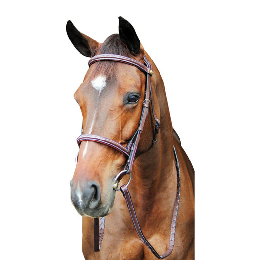 Henri De Rivel Pro Fancy Raised Comfort Crown Padded Bridle with Fancy Raised Reins