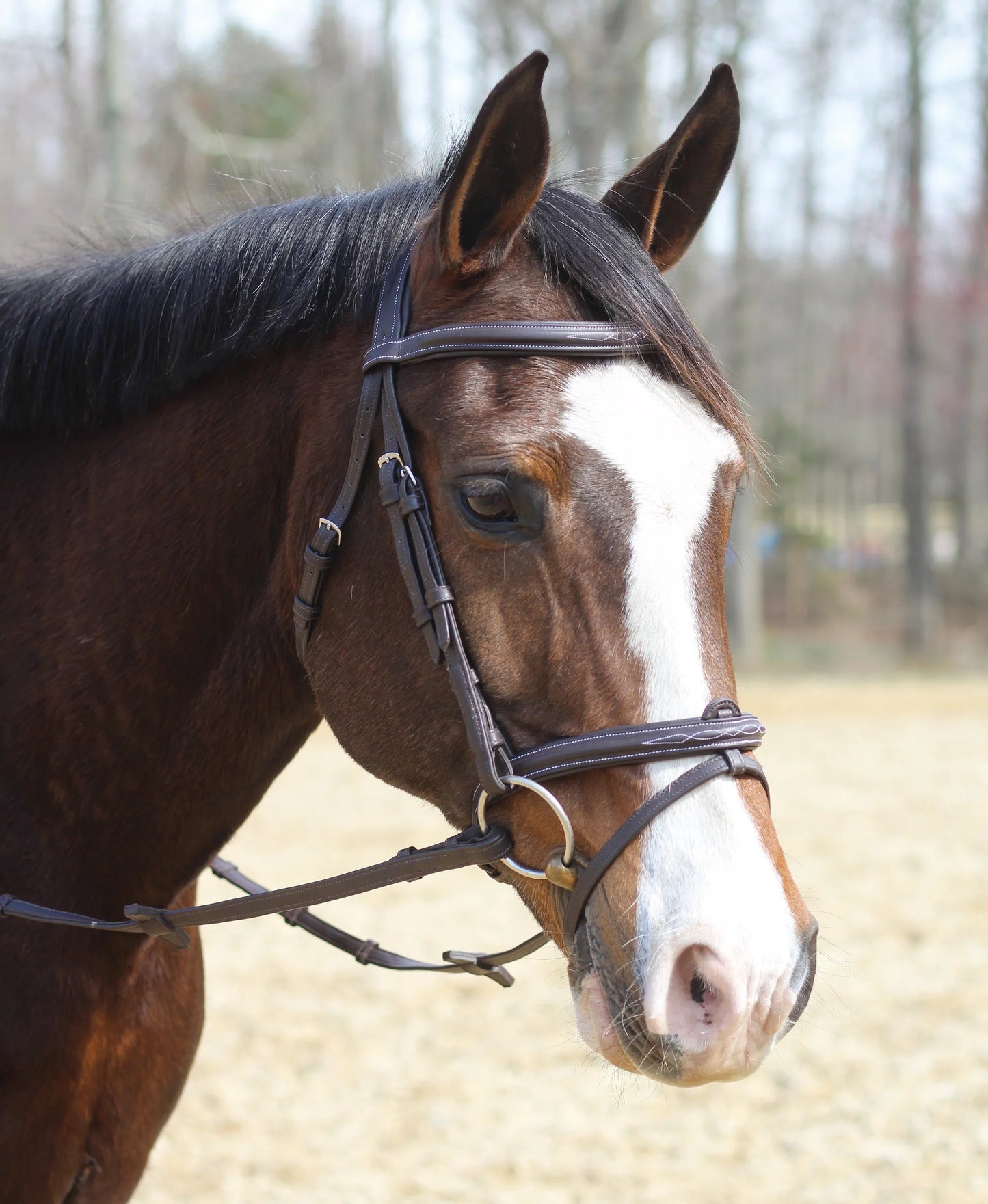 Henri de Rivel Kushy Bridle With Detachable Flash