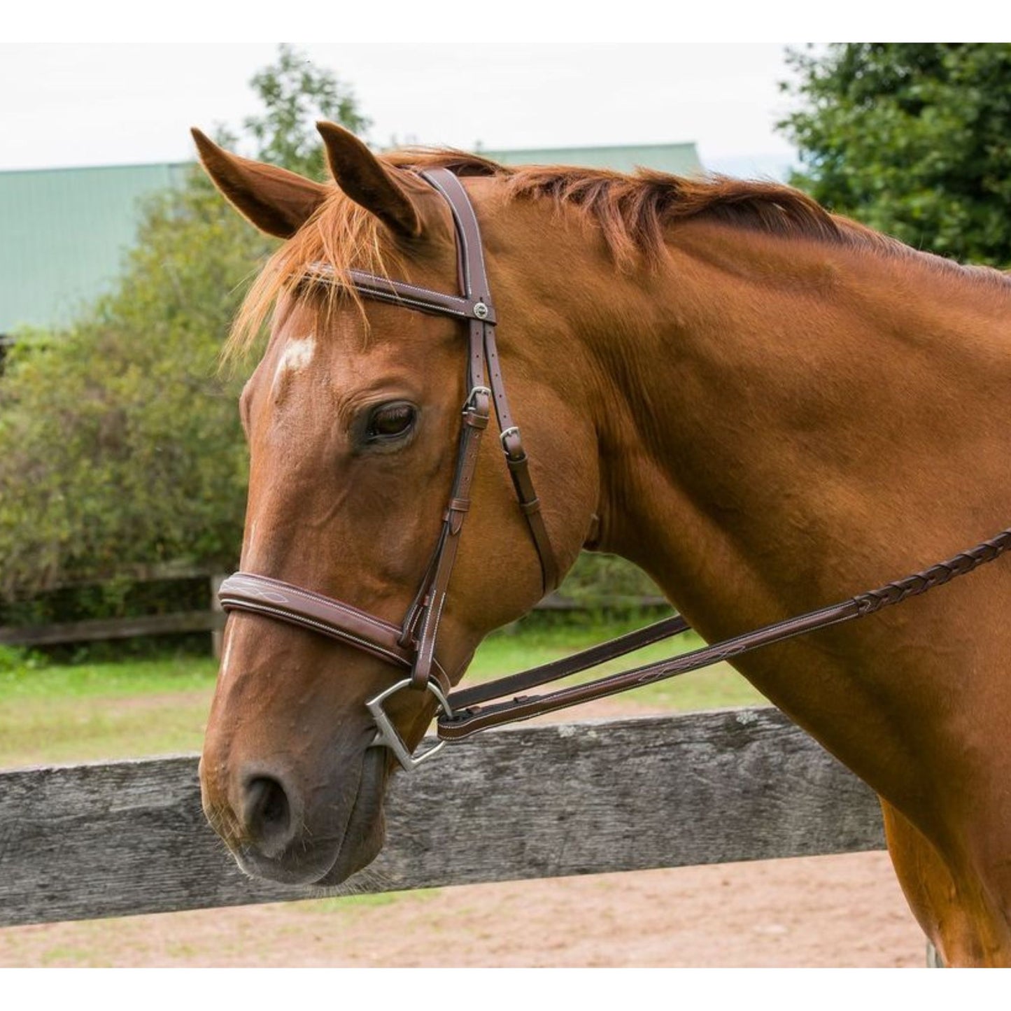 Henri De Rivel Pro Mono Crown Bridle with Padded Wide Noseband & Laced Reins