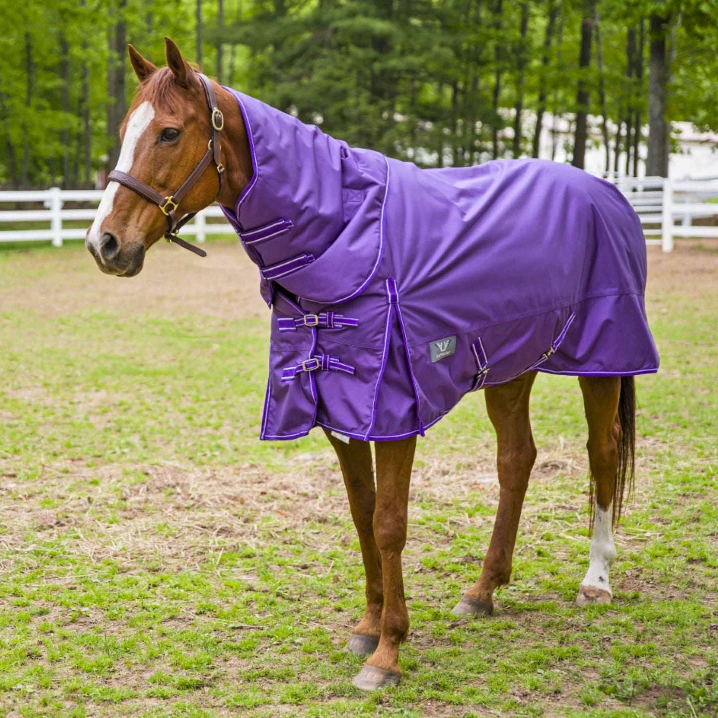 TuffRider 1680 D Winter Turnout Blanket Heavy Weight 350 Grams, Detachable Neck