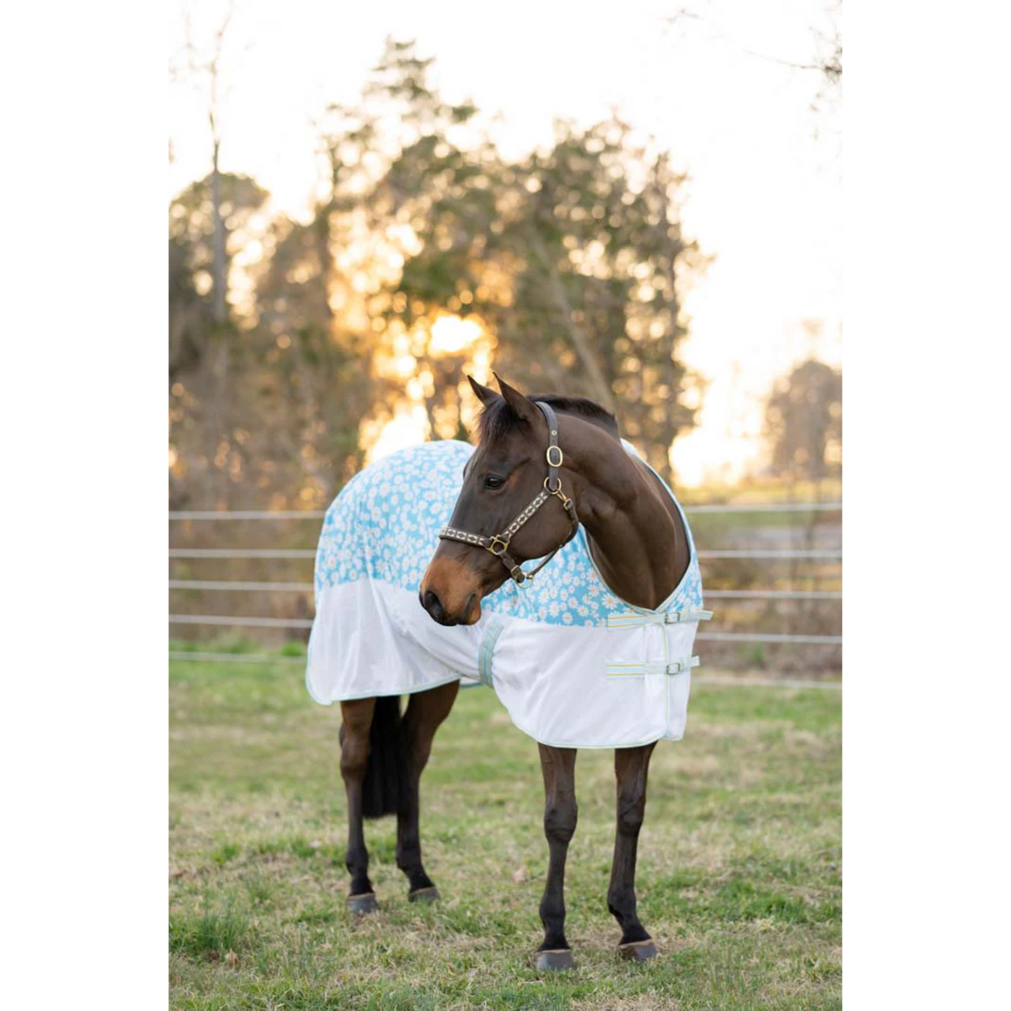 TuffRider Comfy Plus Daisy Print Fly Sheet