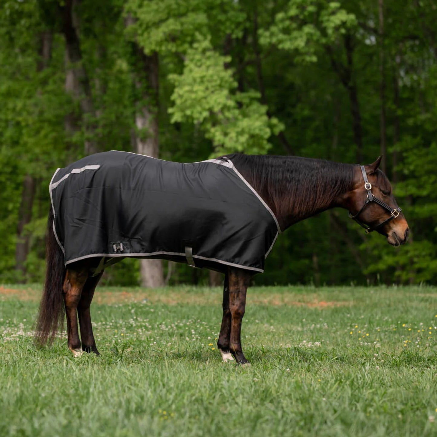 TuffRider Shelter Closed Front Stable Sheet