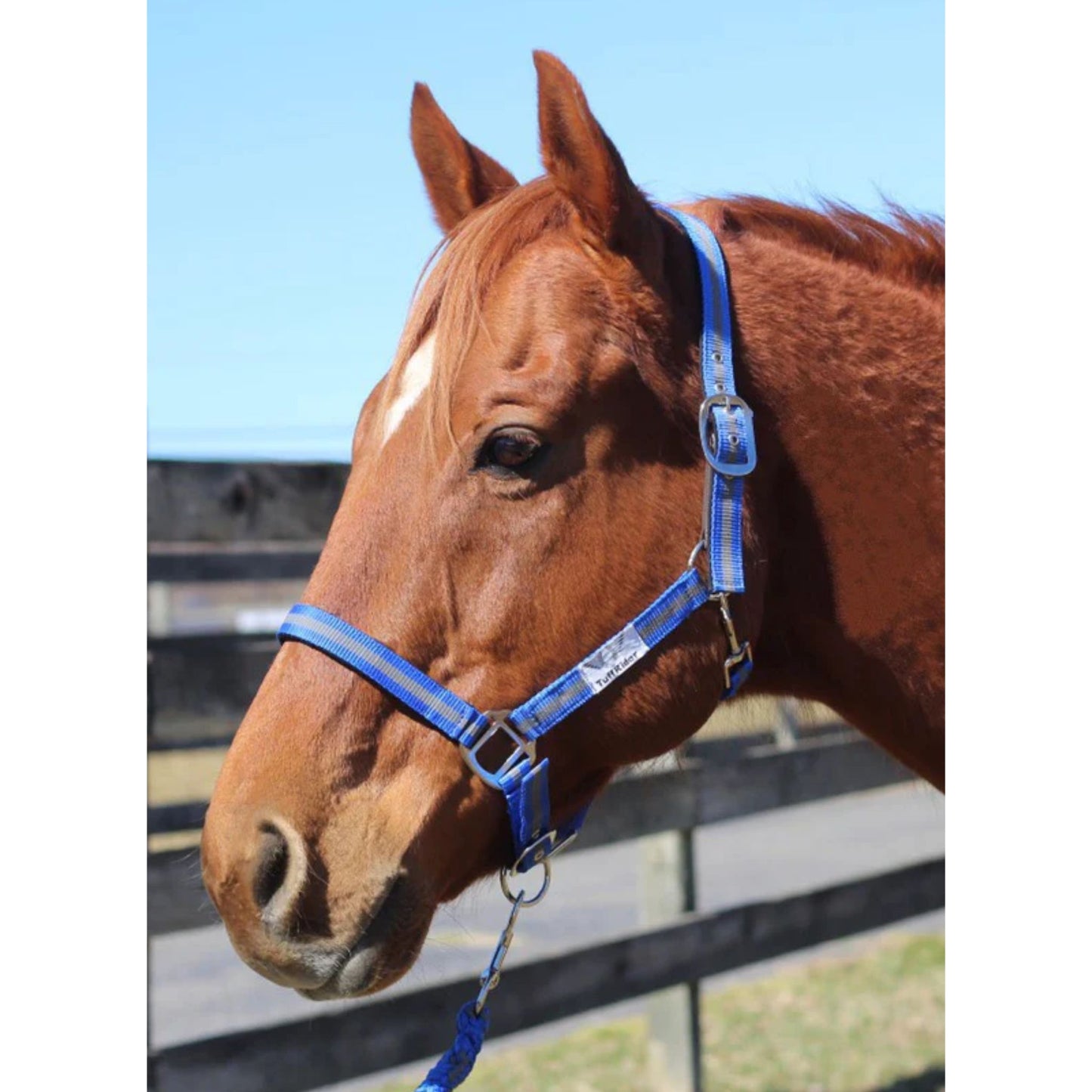 TuffRider Nylon Breakaway Halter and Lead Rope Set