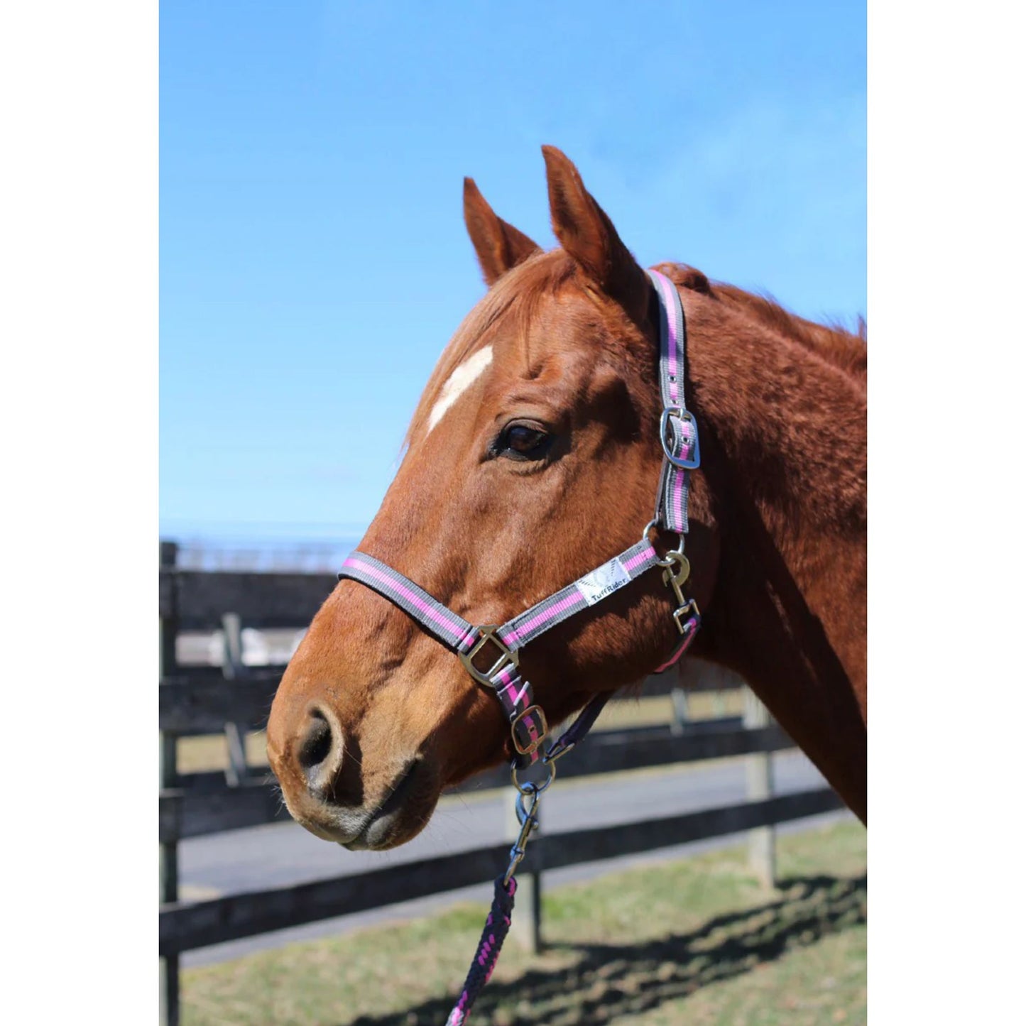 TuffRider Nylon Breakaway Halter and Lead Rope Set