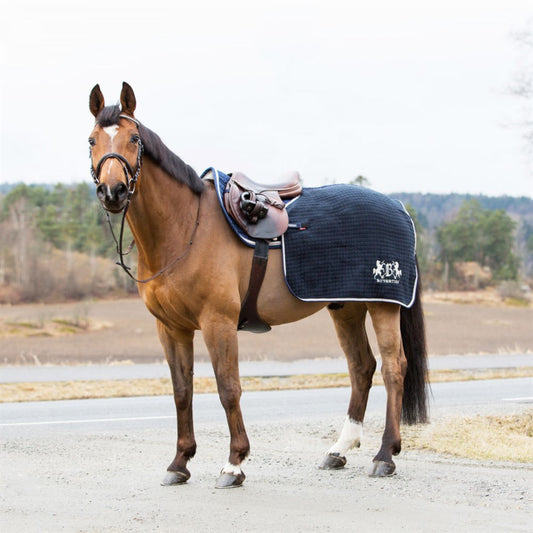 B Vertigo Concord Wool and Acrylic Exercise Blanket