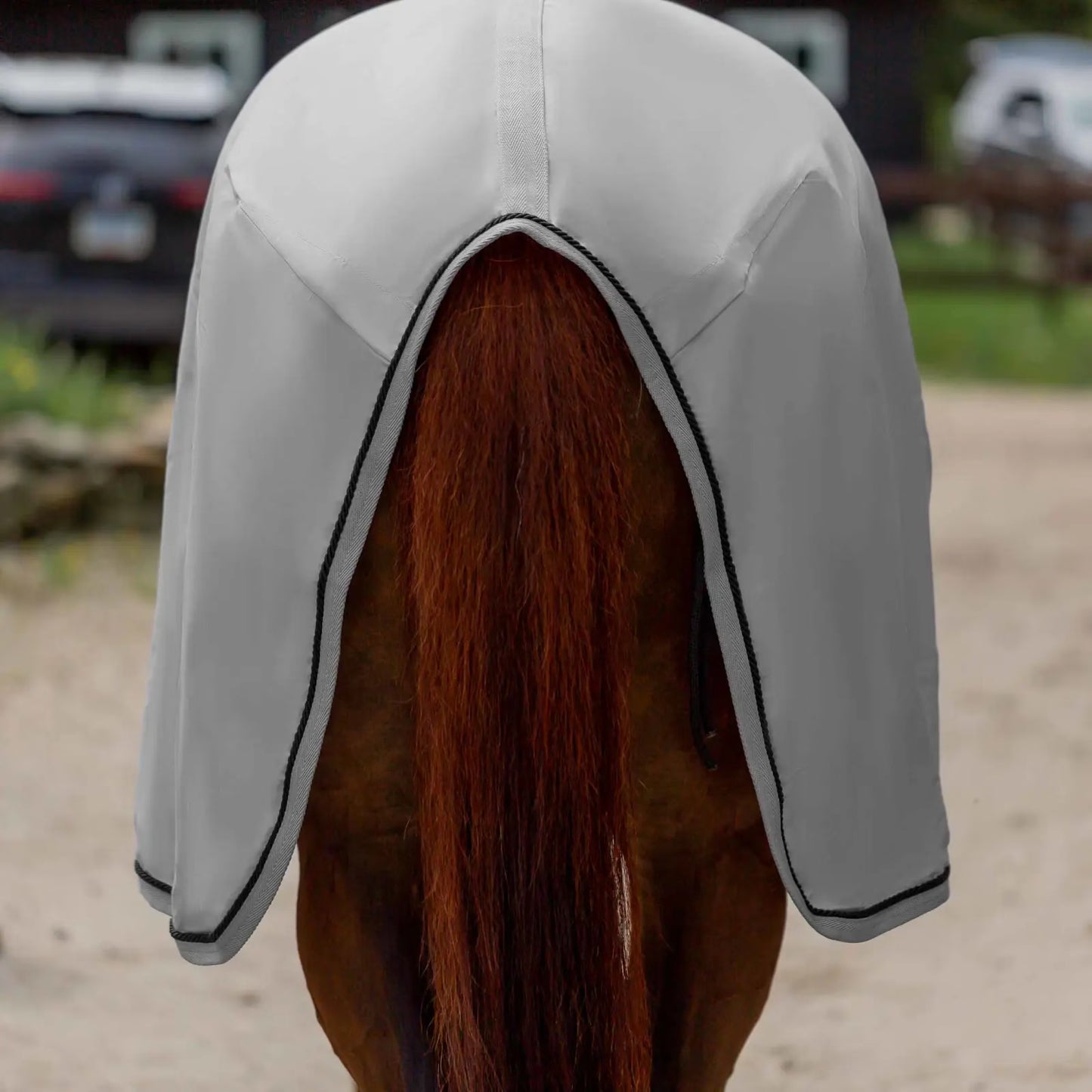 Equinavia Vind Stable Sheet