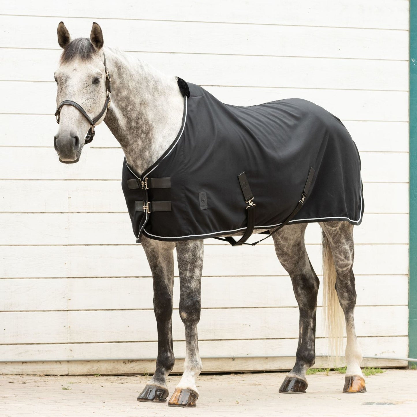 Equinavia Vind Stable Sheet