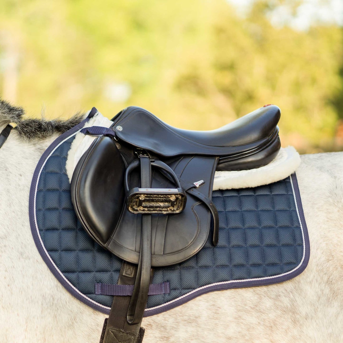 Equinavia Svalbard NordicAir™ All Purpose Saddle Pad