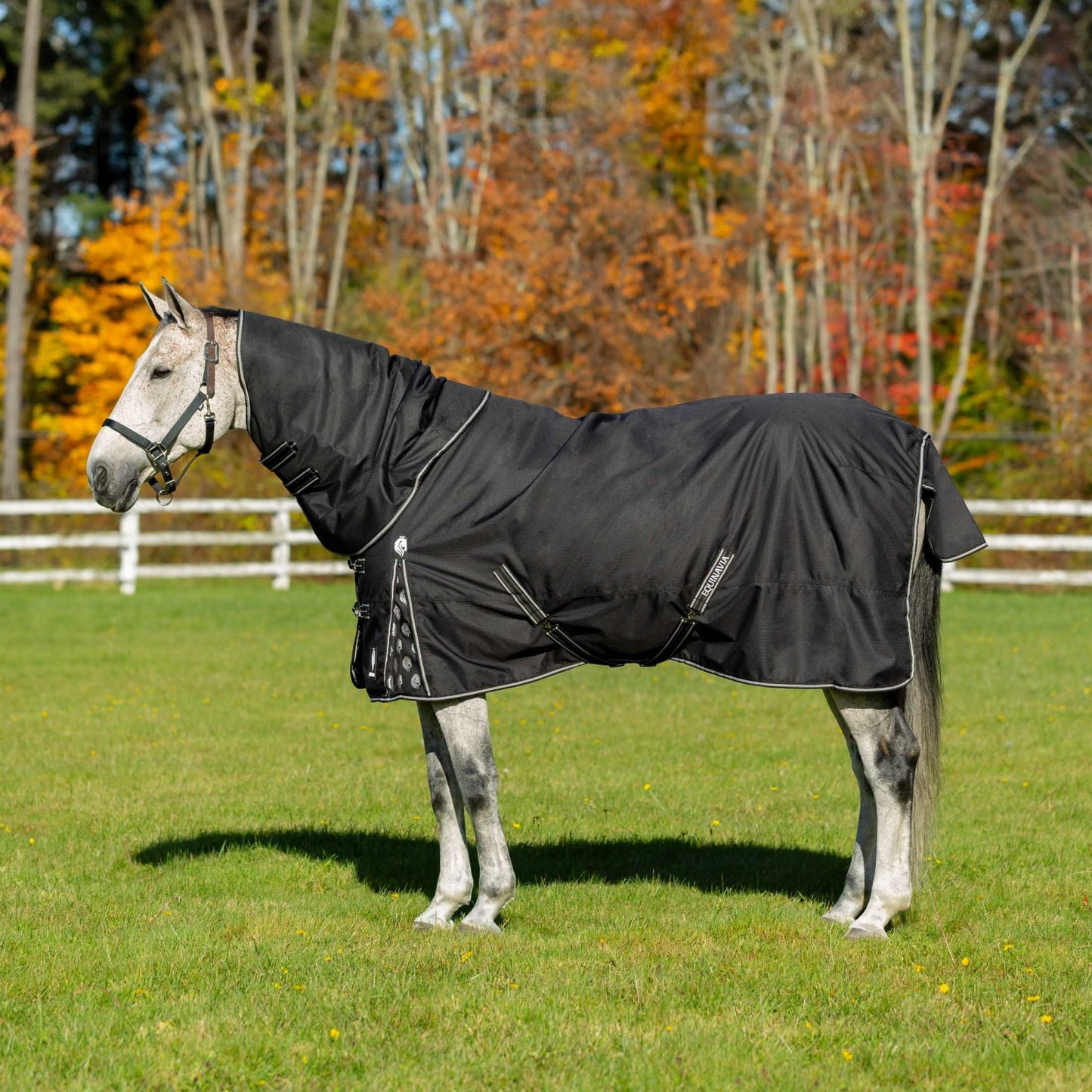 Equinavia Norse Turnout Blanket 100g, Black