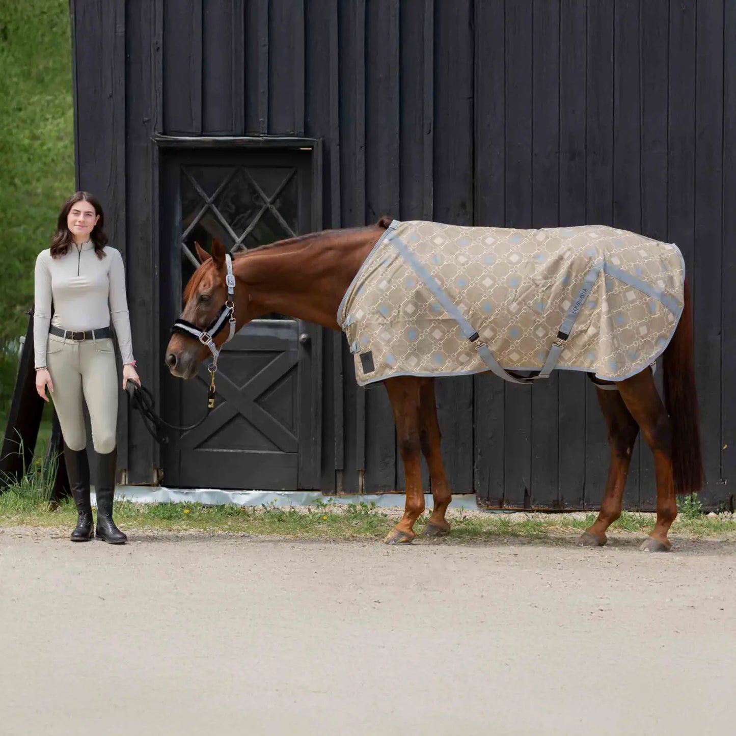 Equinavia Fryd Cotton Stable Sheet, Black