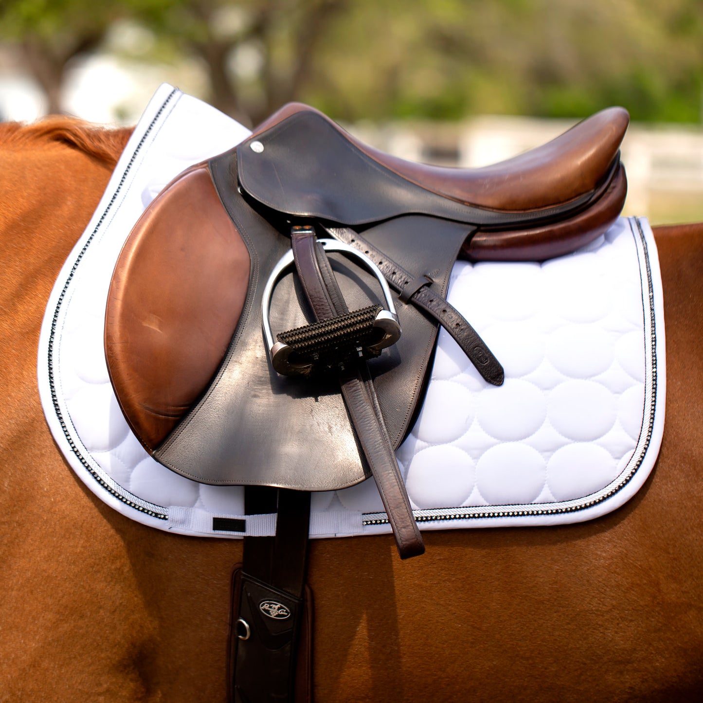 Horze Marquess All Purpose Saddle Pad