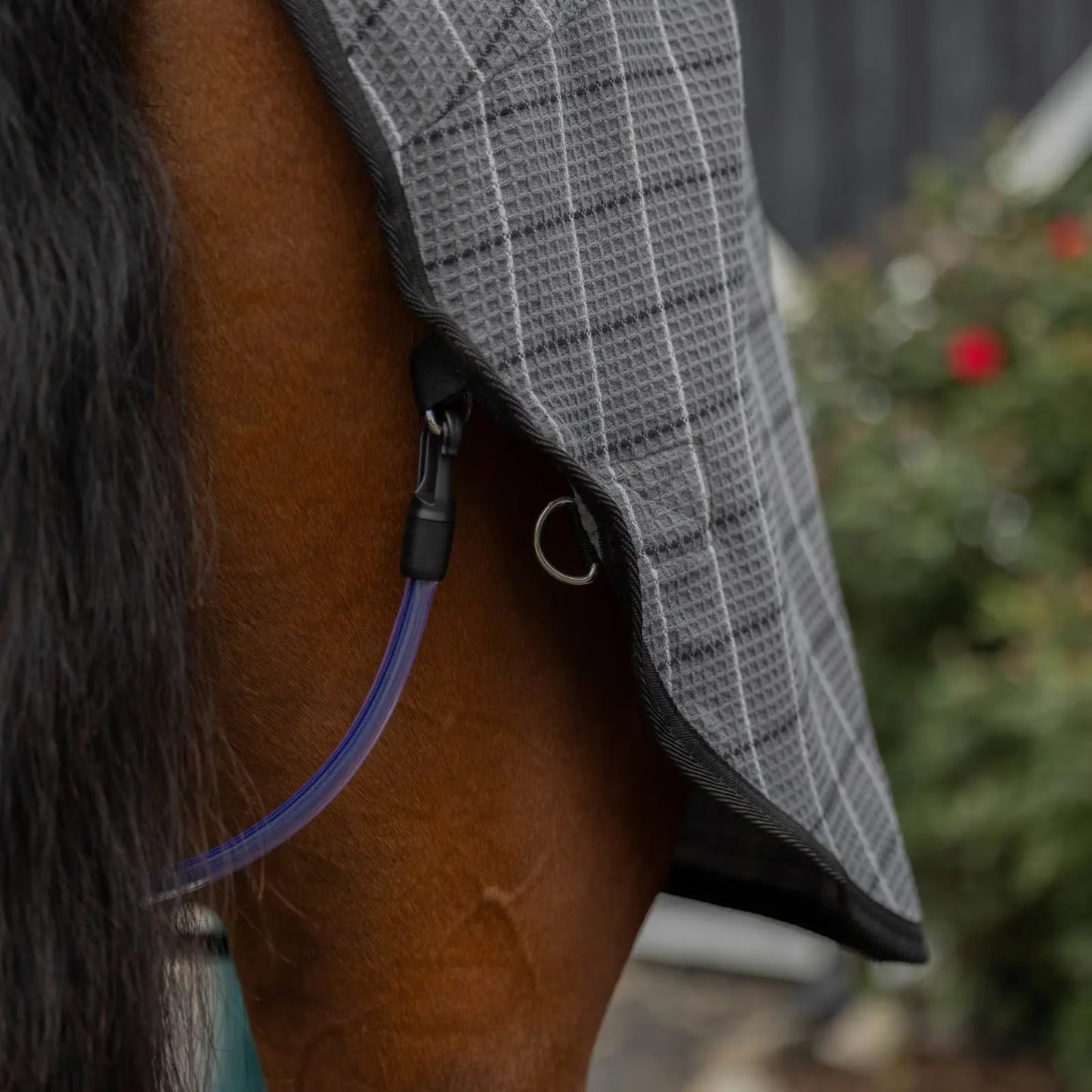 Equinavia Luftig Waffle Cooler