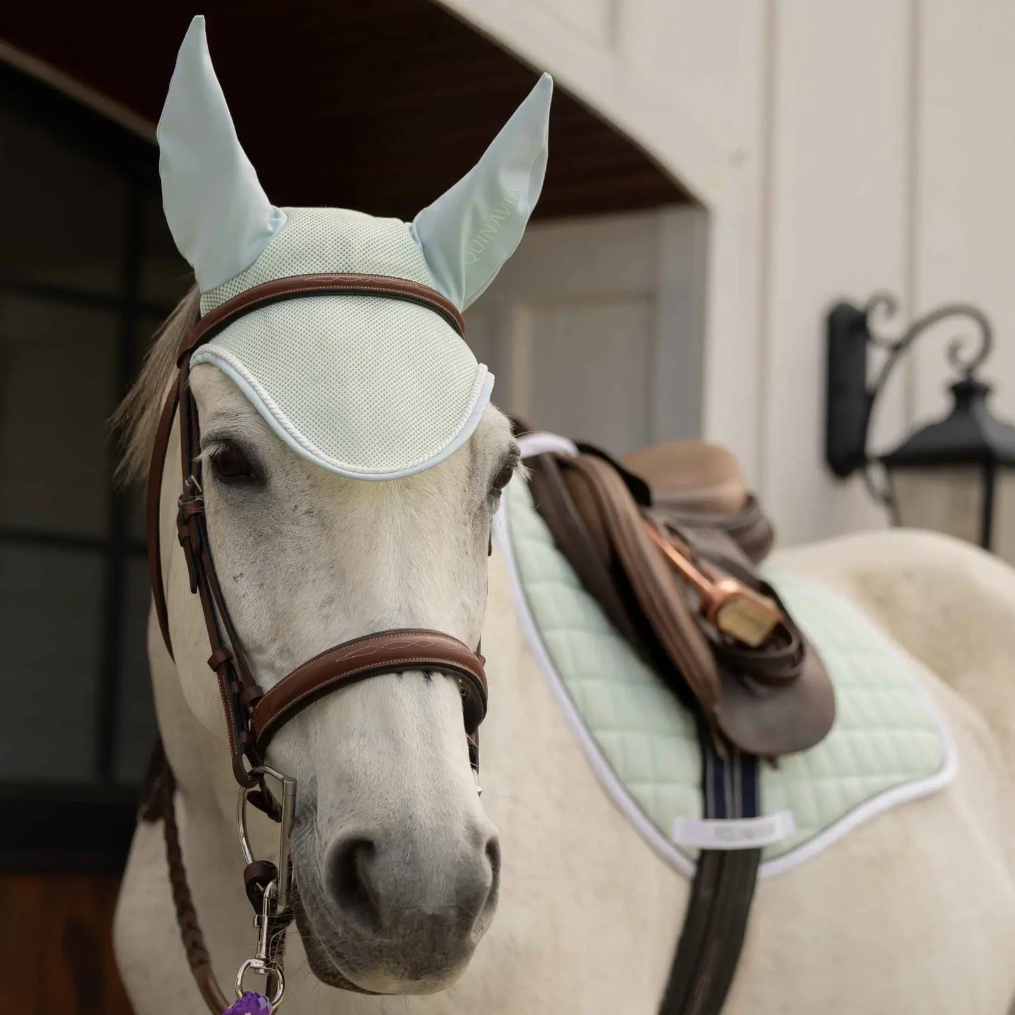 Equinavia Svalbard NordicAir™ All Purpose Saddle Pad