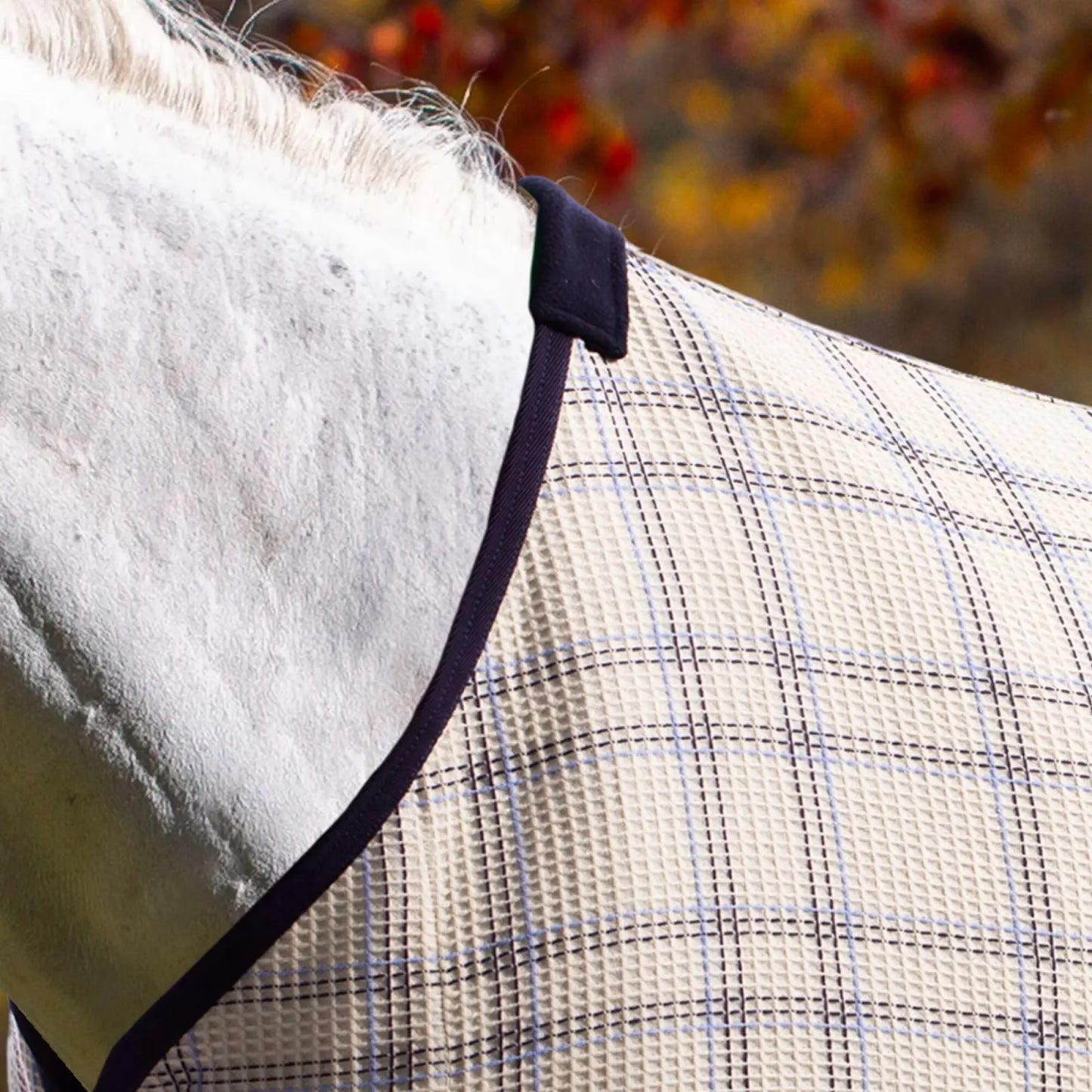 Equinavia Luftig Waffle Cooler