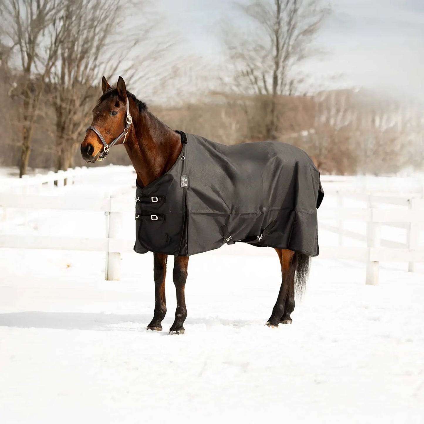 Horze Nevada Medium Weight Turnout Blanket - 200g