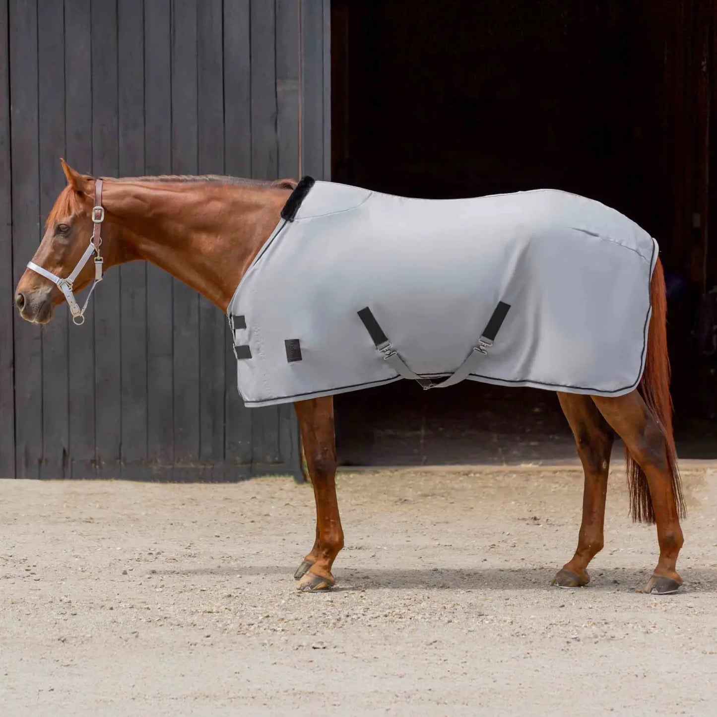 Equinavia Vind Stable Sheet