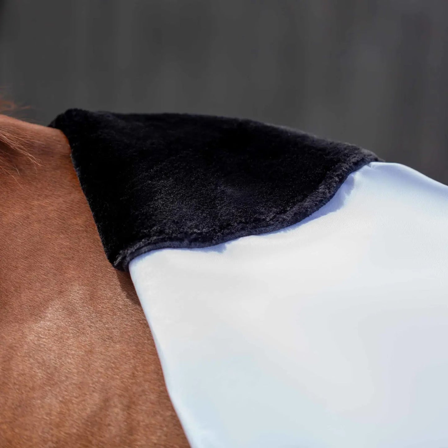 Equinavia Vind Stable Sheet